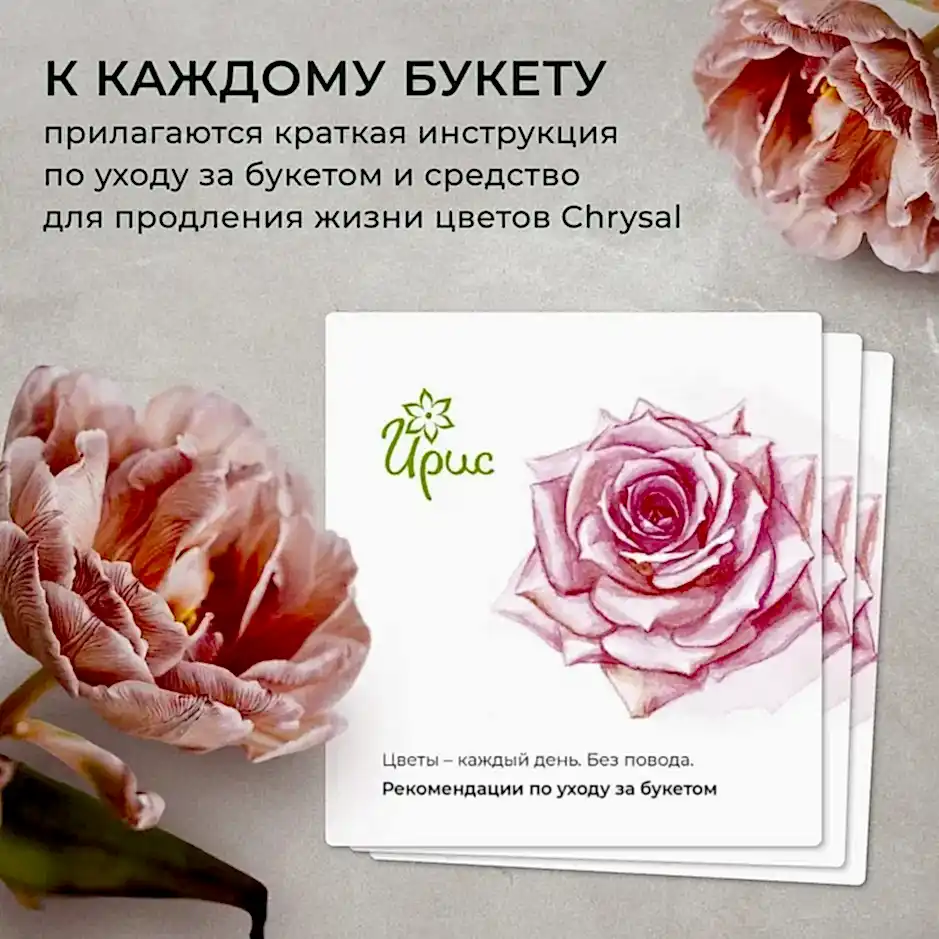 букет из 11 роз explorer 