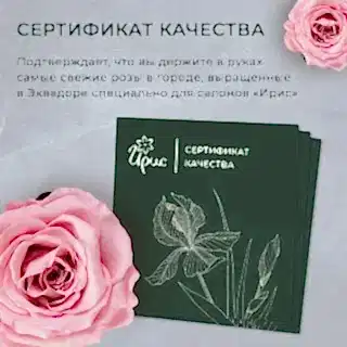 монобукет из 15 желто-оранжевых роз микс 5 в упаковке 