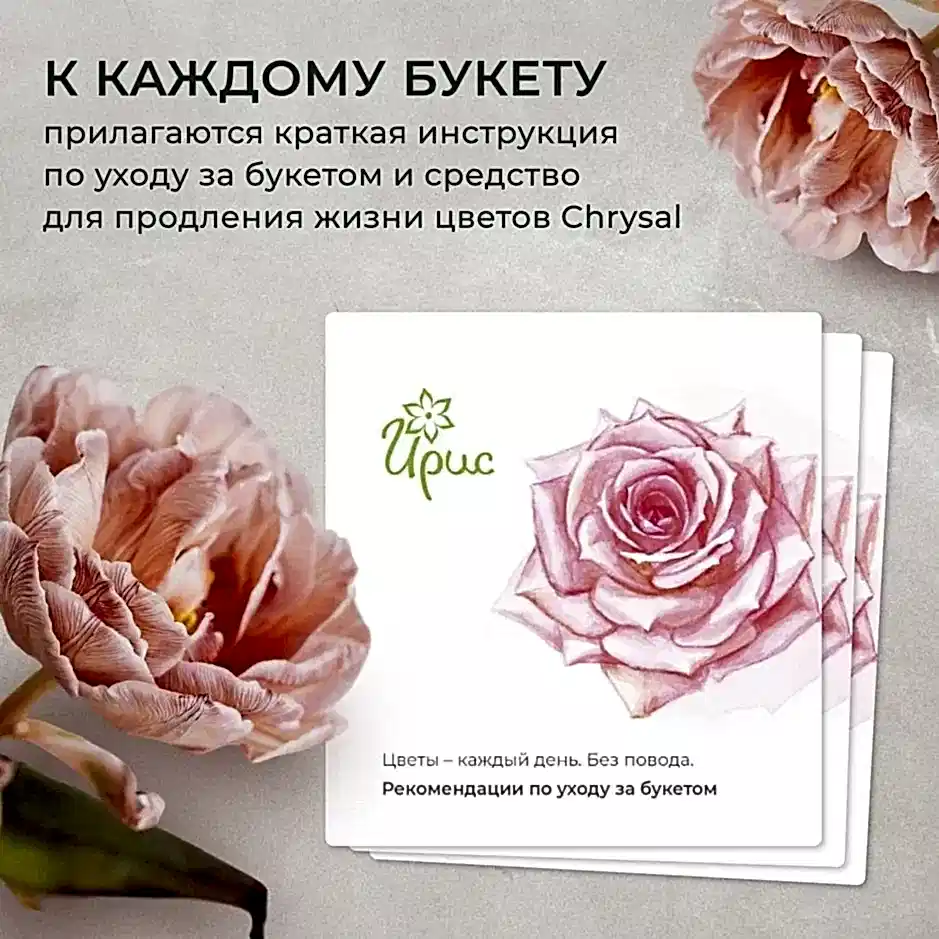 монобукет 7 пионовидных роз "campanella" под ленту 