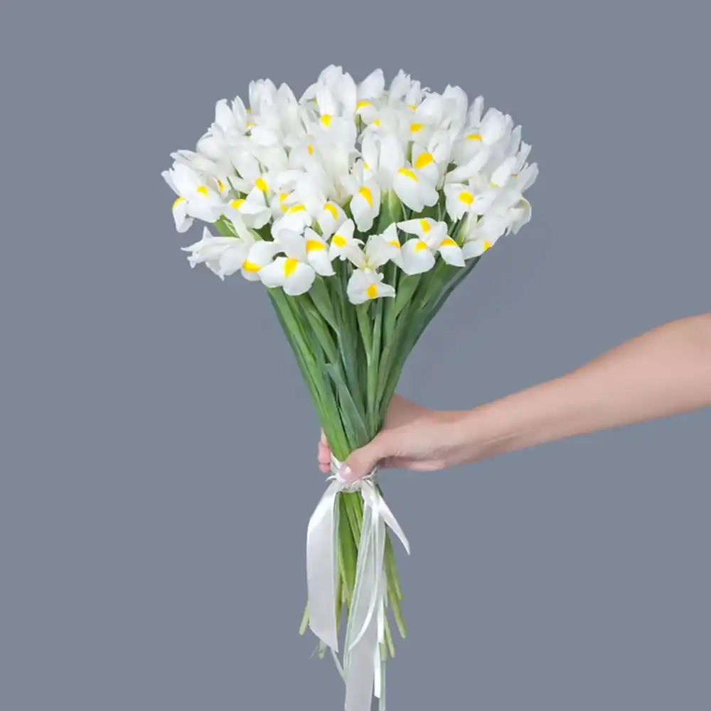 монобукет  из 25 белых ирисов 