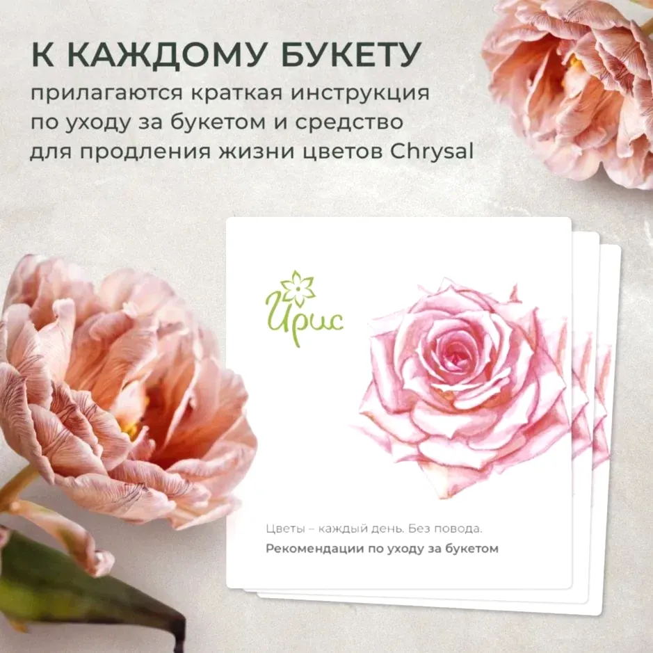 Флорариум Денебола