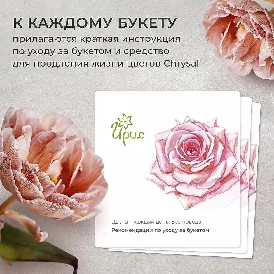композиция "время сказки s" 