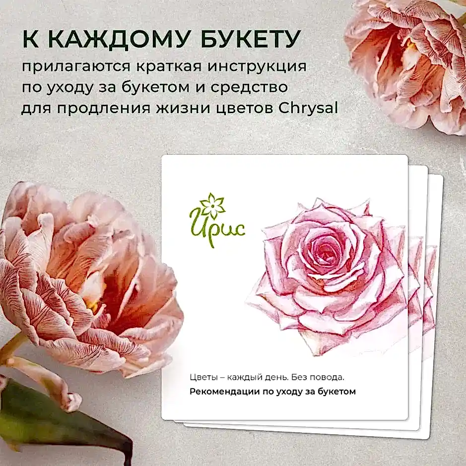 Флорариум Бутылка 4 аспарагус 