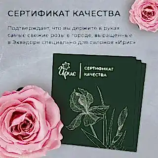 монобукет из 7 гербер в упаковке 