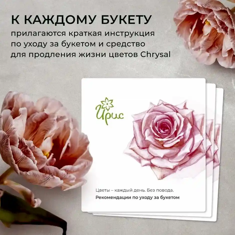 монобукет 9 пионовидных роз "campanella" под ленту 