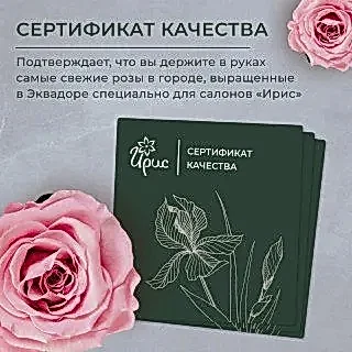 монобукет из 5 белых гипсофил 