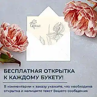 монобукет из 15 белых хризантем №2 
