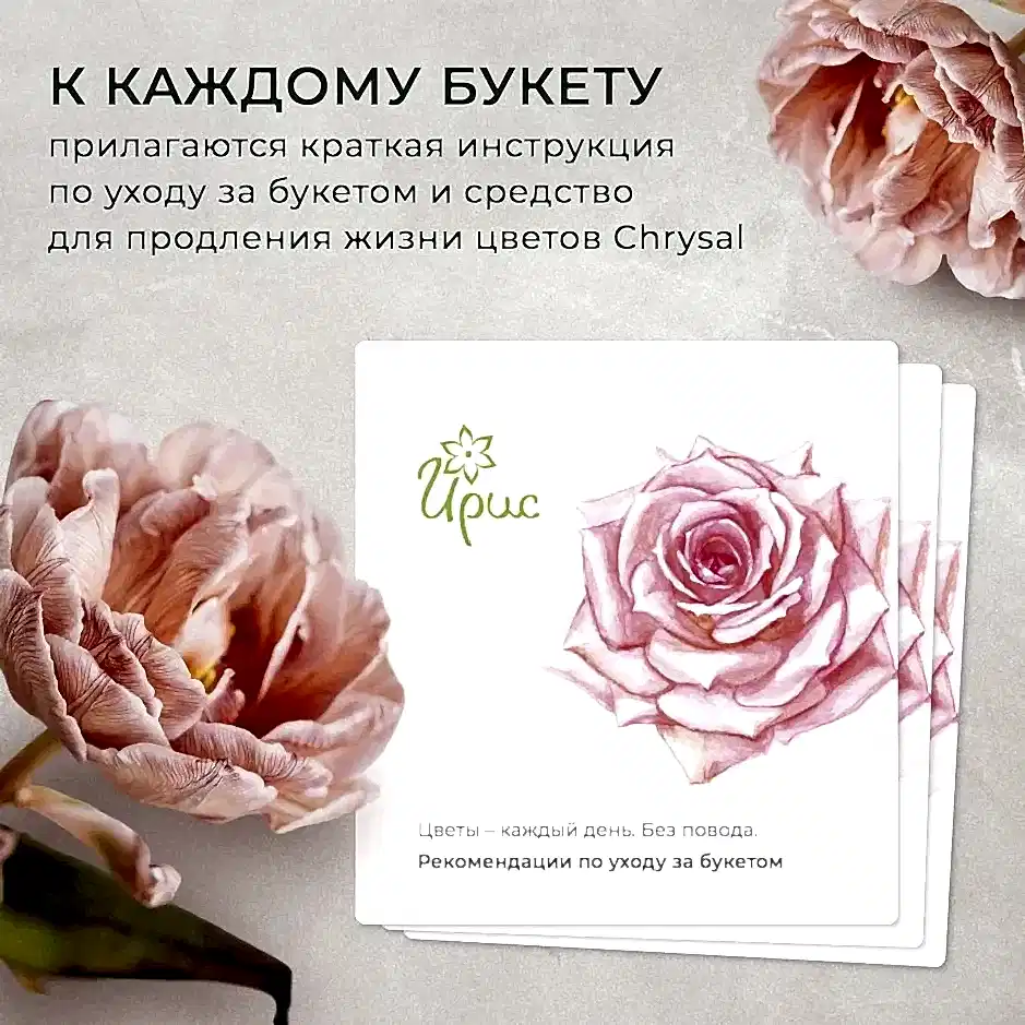 композиция "зимняя гармония m" 