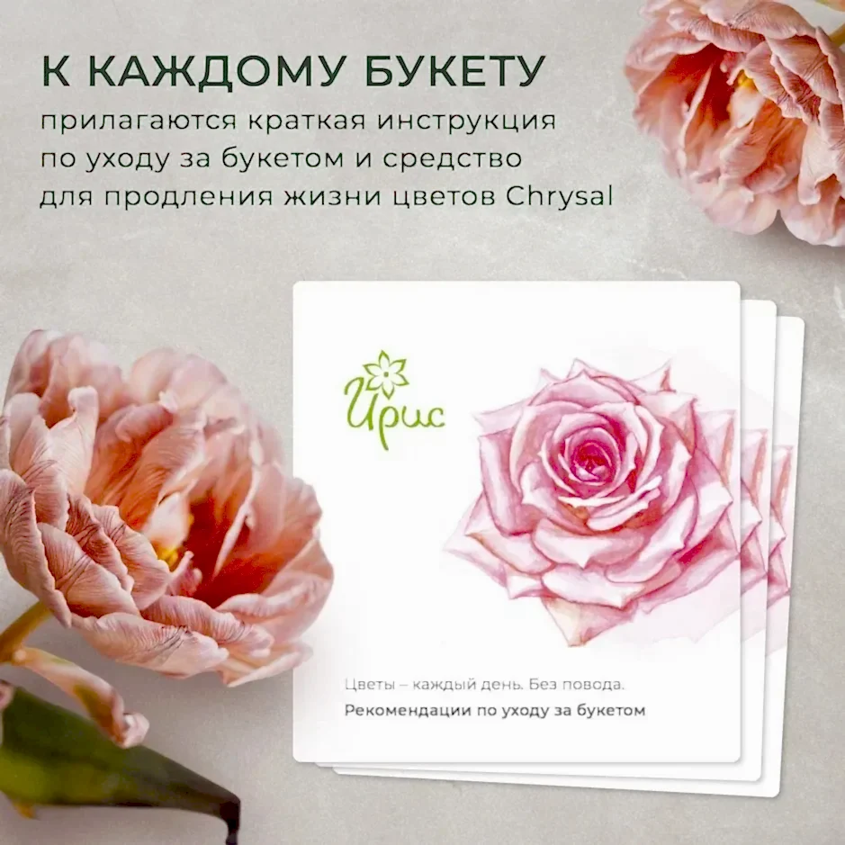 монобукет 21 роза "pink floyd" под ленту 