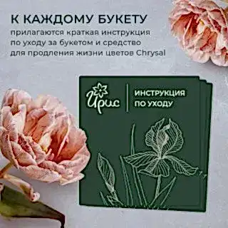 монобукет из 51 пионовидных роз «kahala» под ленту 