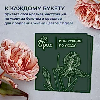 монобукет 21 пионовидных роза "kahala" под ленту 