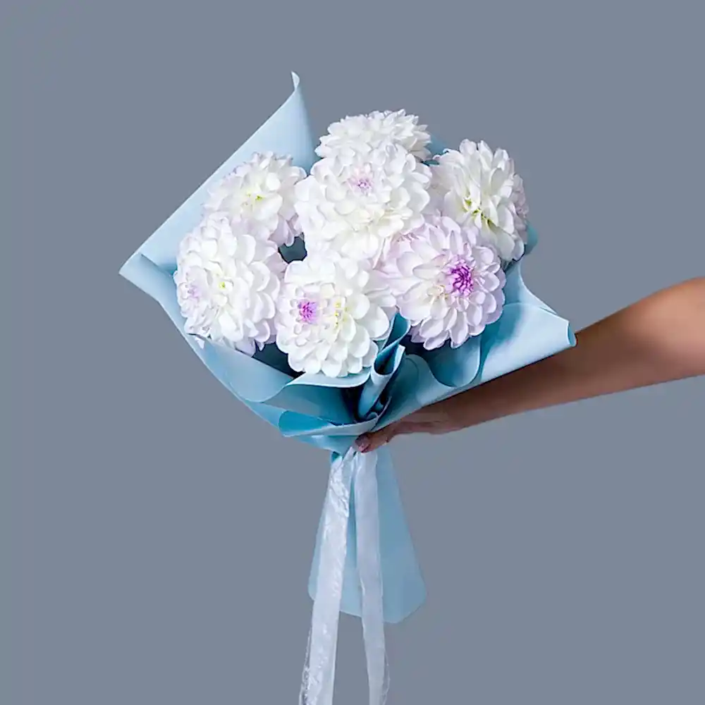 монобукет из 7 нежных георгинов 