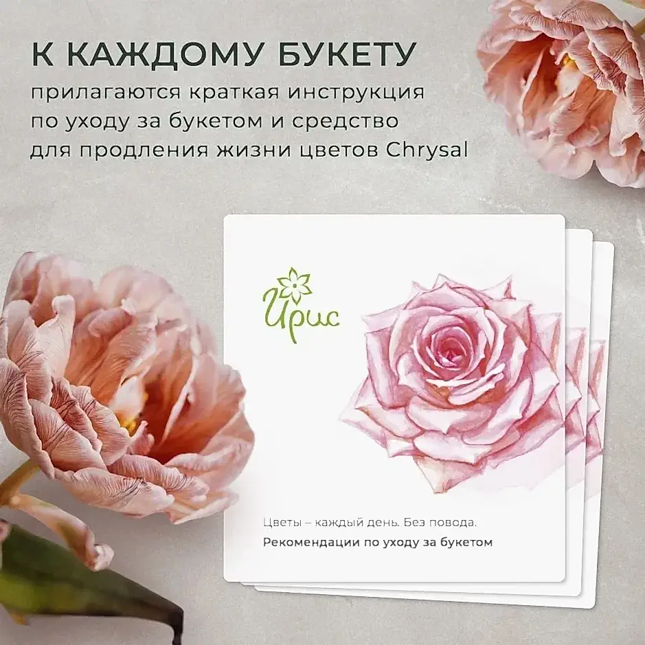 композиция "время сказки" 