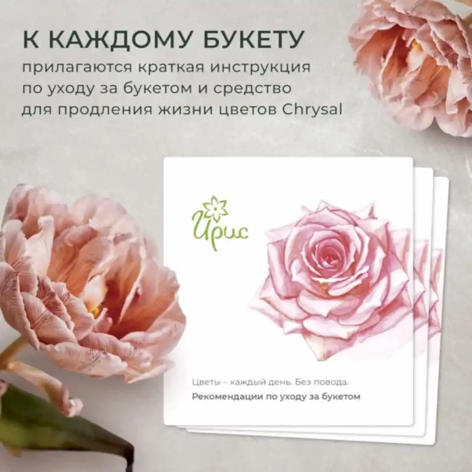 композиция "белоснежка" 