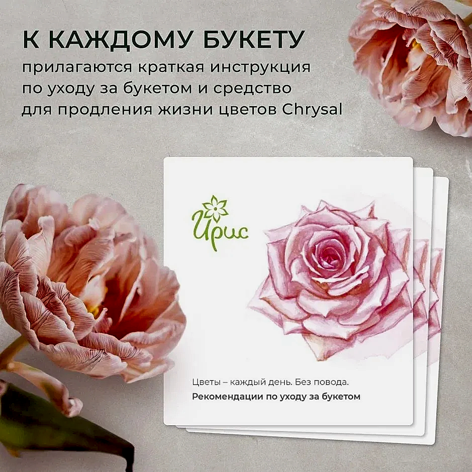 букет "рождественская звезда" 