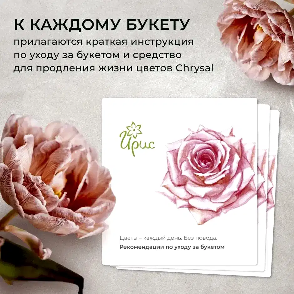 монобукет 5 роз "deep purple" в упаковке 