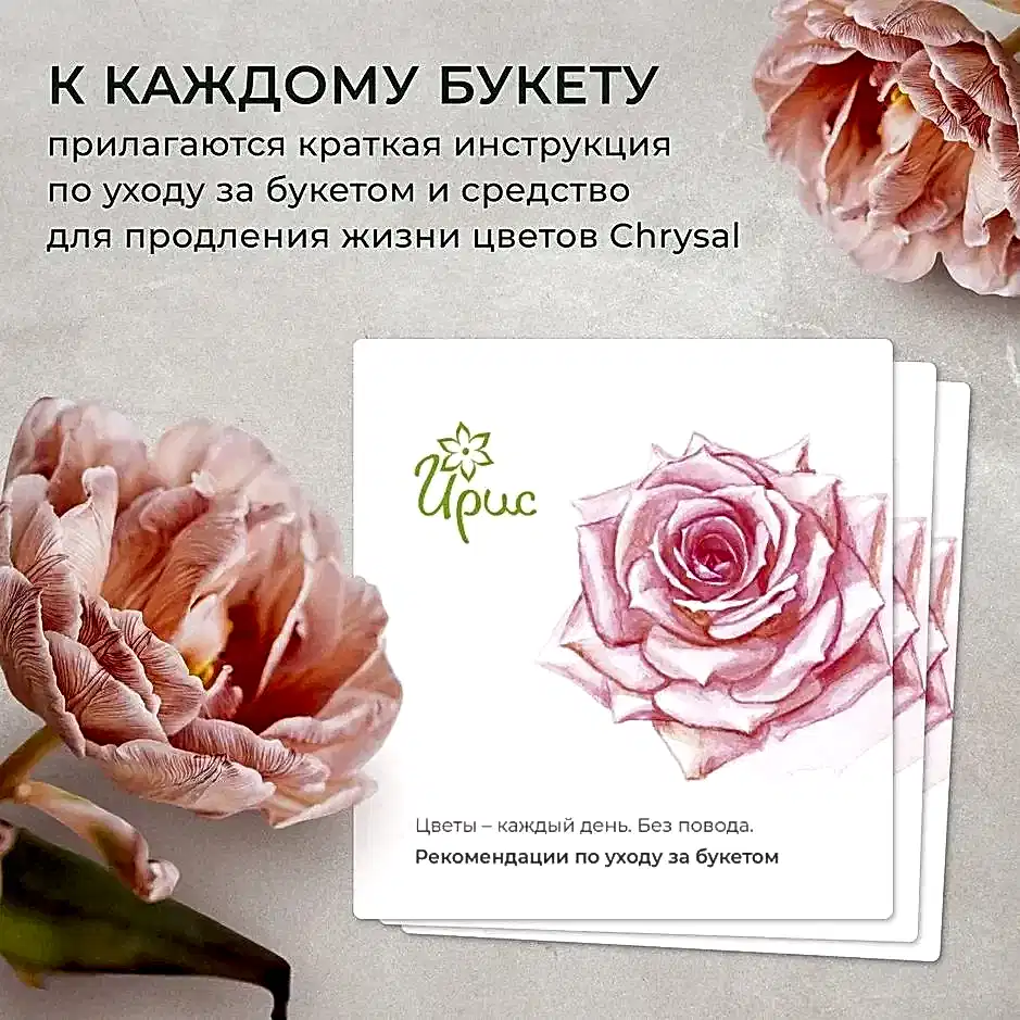 Флорариум Африка