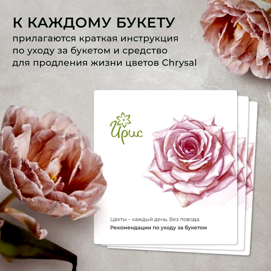 букет из 17 роз explorer 