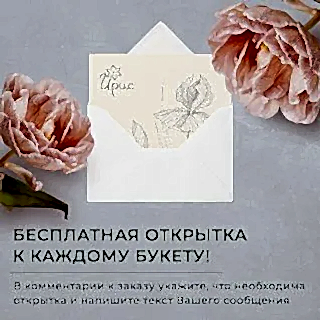 монобукет из 51 пионовидных роз «kahala» под ленту 