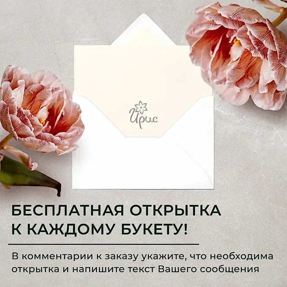 монобукет из 25 пионовидных эквадорских роз candlelight под ленту 