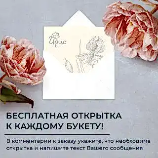 монобукет из 7 кустовых хризантем микс 
