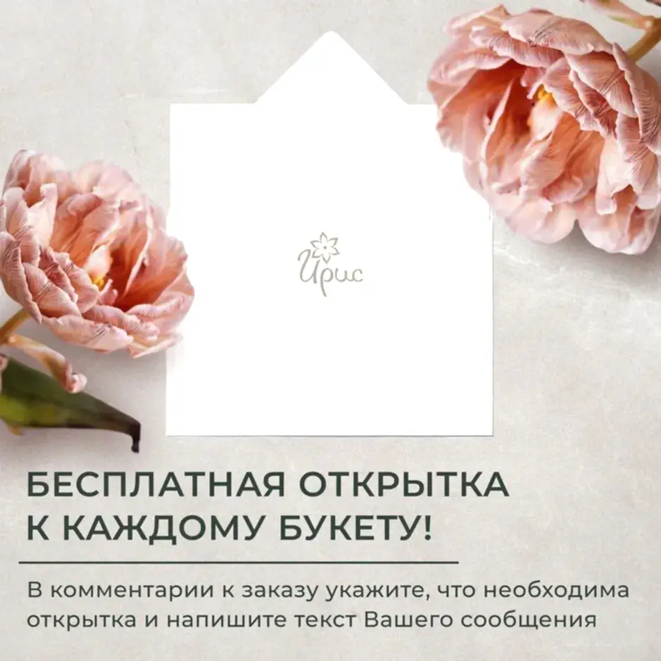 Флорариум Огма