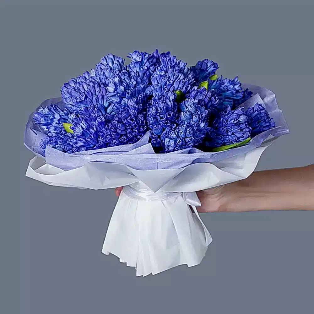 монобукет синие гиацинты 25 шт 