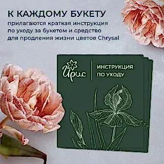 монобукет 25 пионовидных роз «kahala» под ленту 