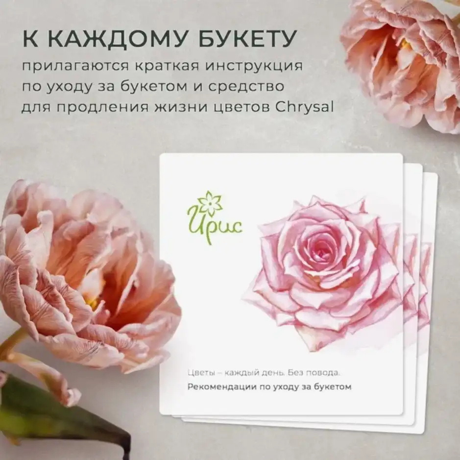 монобукет из 7 роз микс 1 