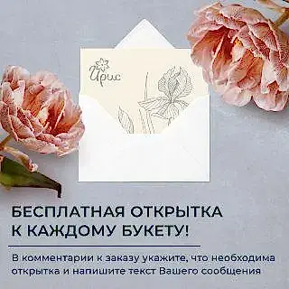 монобукет 9 пионовидных роз "kahala" в упаковке с тишью 