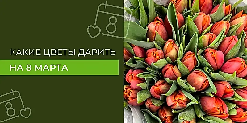 Какие цветы подарить на Международный женский день?