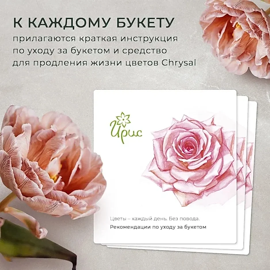 монобукет из 7 роз микс 3 