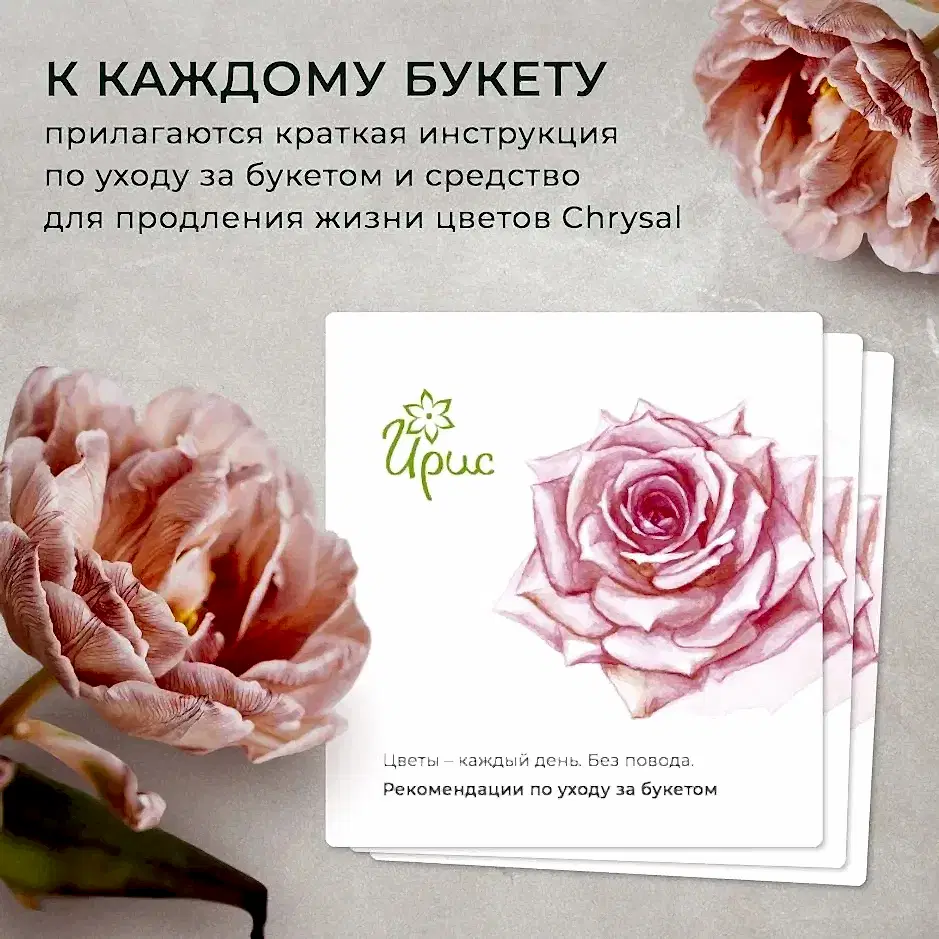 букет "обаяние" 