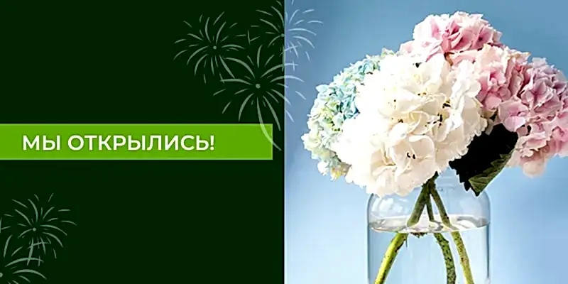 Мы – открылись! 