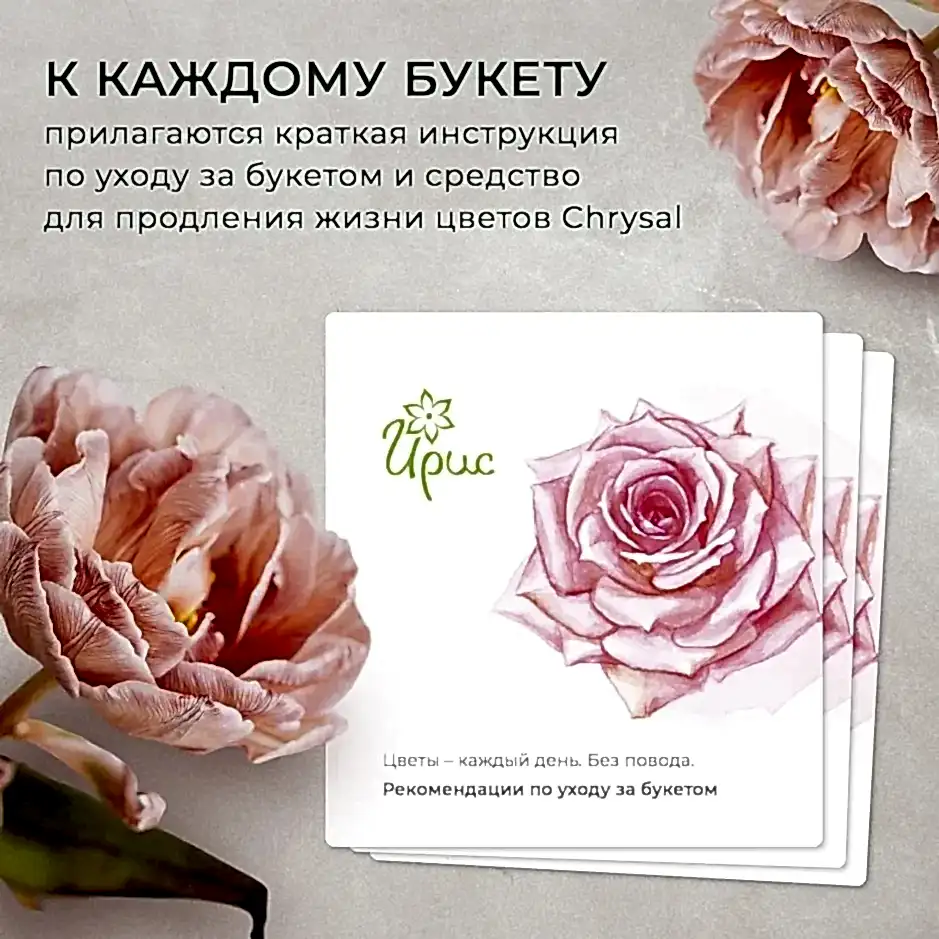 композиция "время сказки m" 