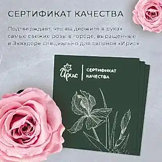монобукет из 15 белых хризантем №2 