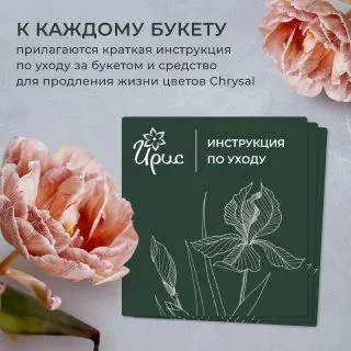 монобукет из 7 гербер в упаковке 