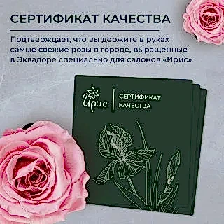 композиция "розовый закат" 