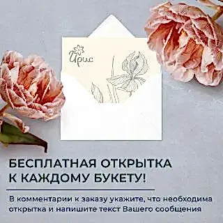 монобукет из 9 кустовых хризантем микс 