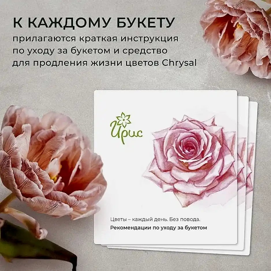 монобукет из 25 белых гипсофил 