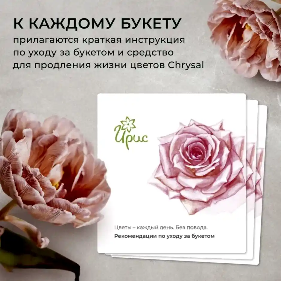 Флорариум Капелла