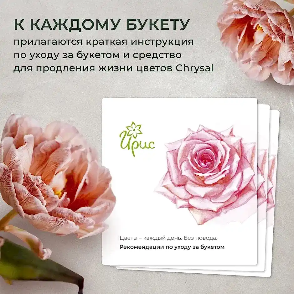 Флорариум Тропикал