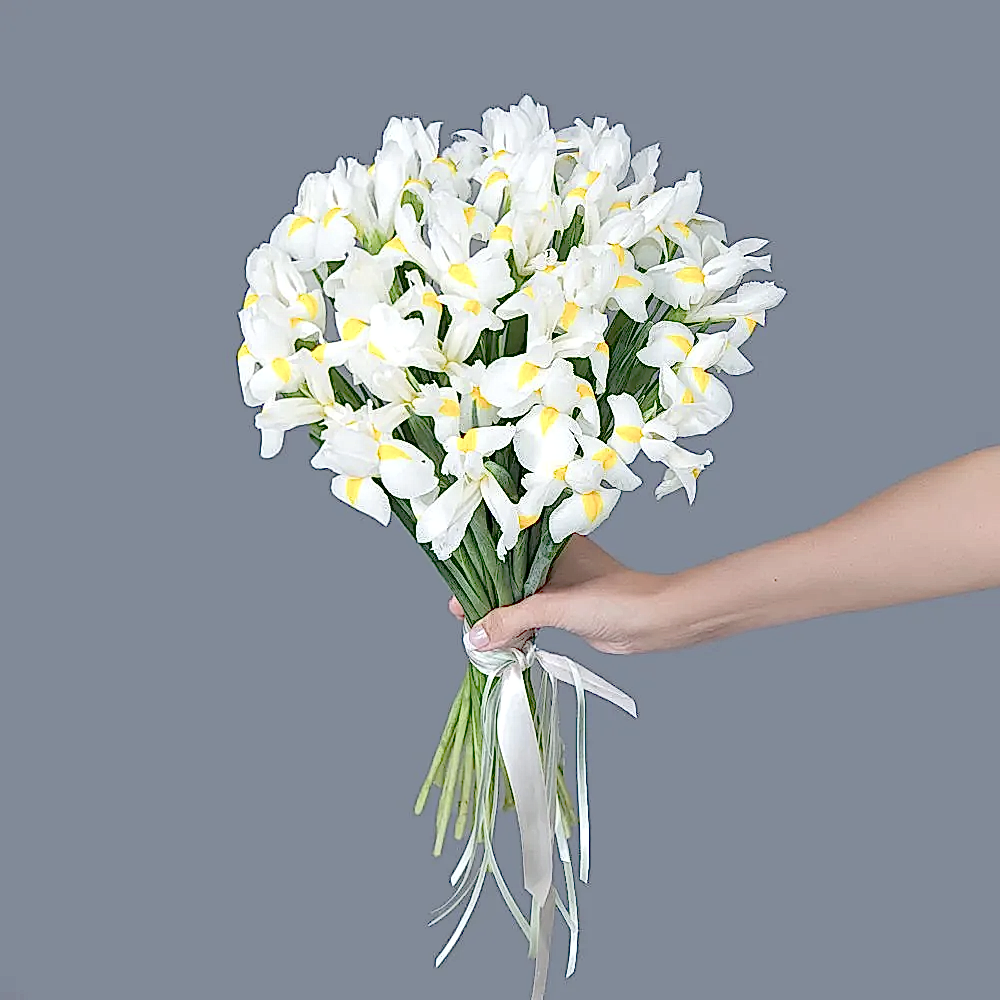 монобукет  из 25 белых ирисов 