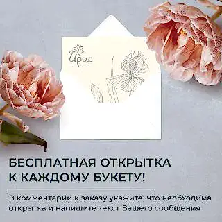 монобукет  из 25 синих ирисов 