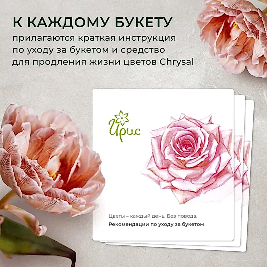 букет "обаяние" s 