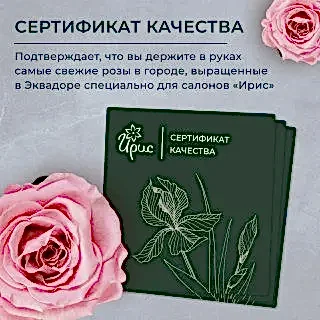 монобукет 5 роз "porcelaine" под ленту 