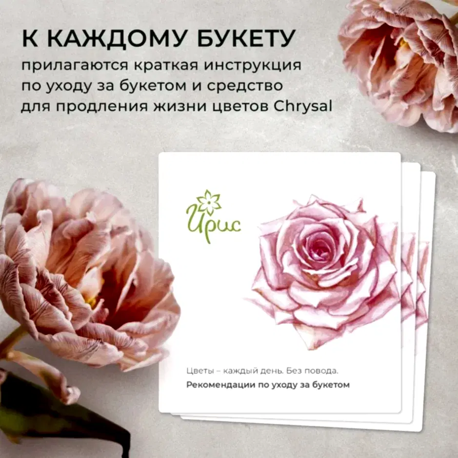 букет из ранункулюсов и белой гинестры в упаковке 