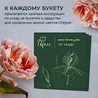 монобукет 17 роз "deep purple" под ленту 