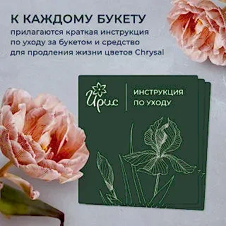 монобукет из 19 альстромерий 