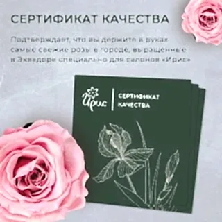 букет "луч света" 